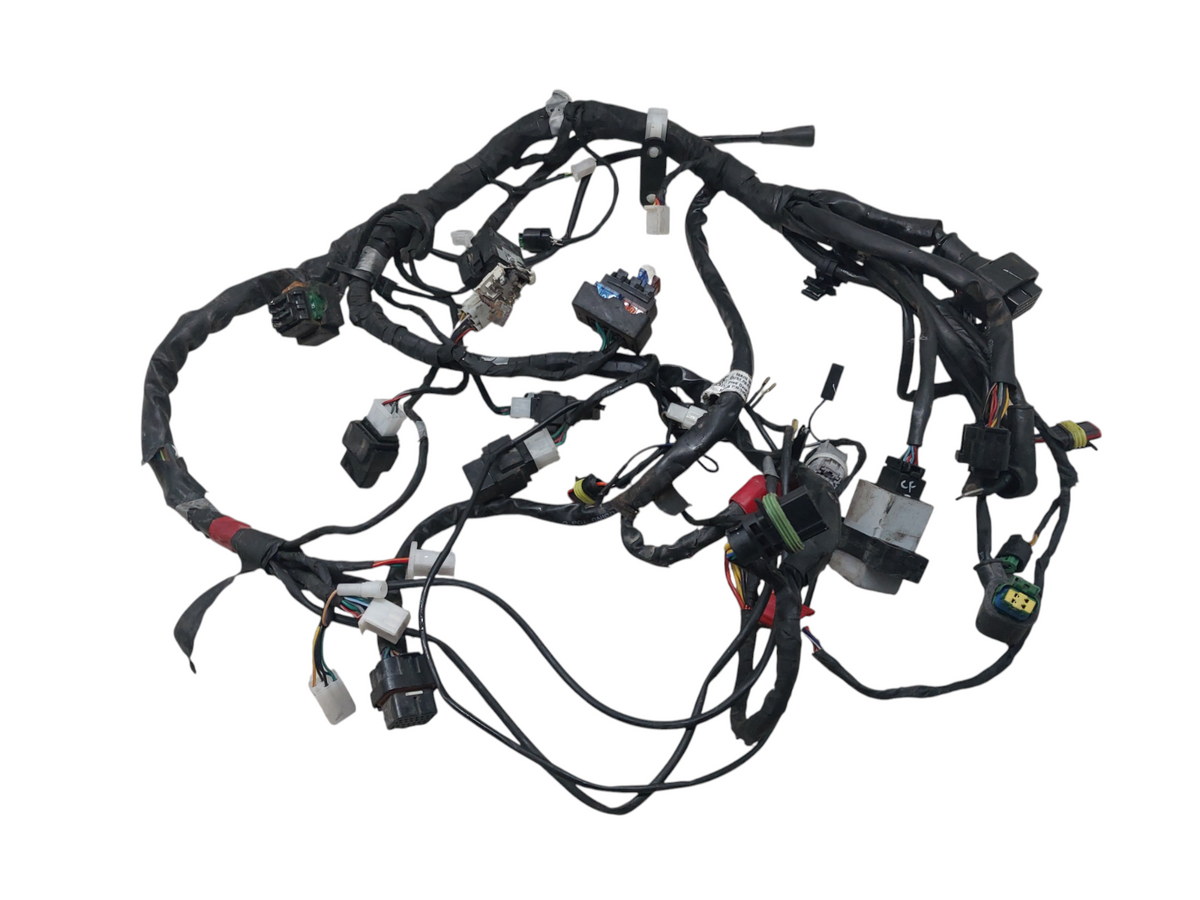 Image #10