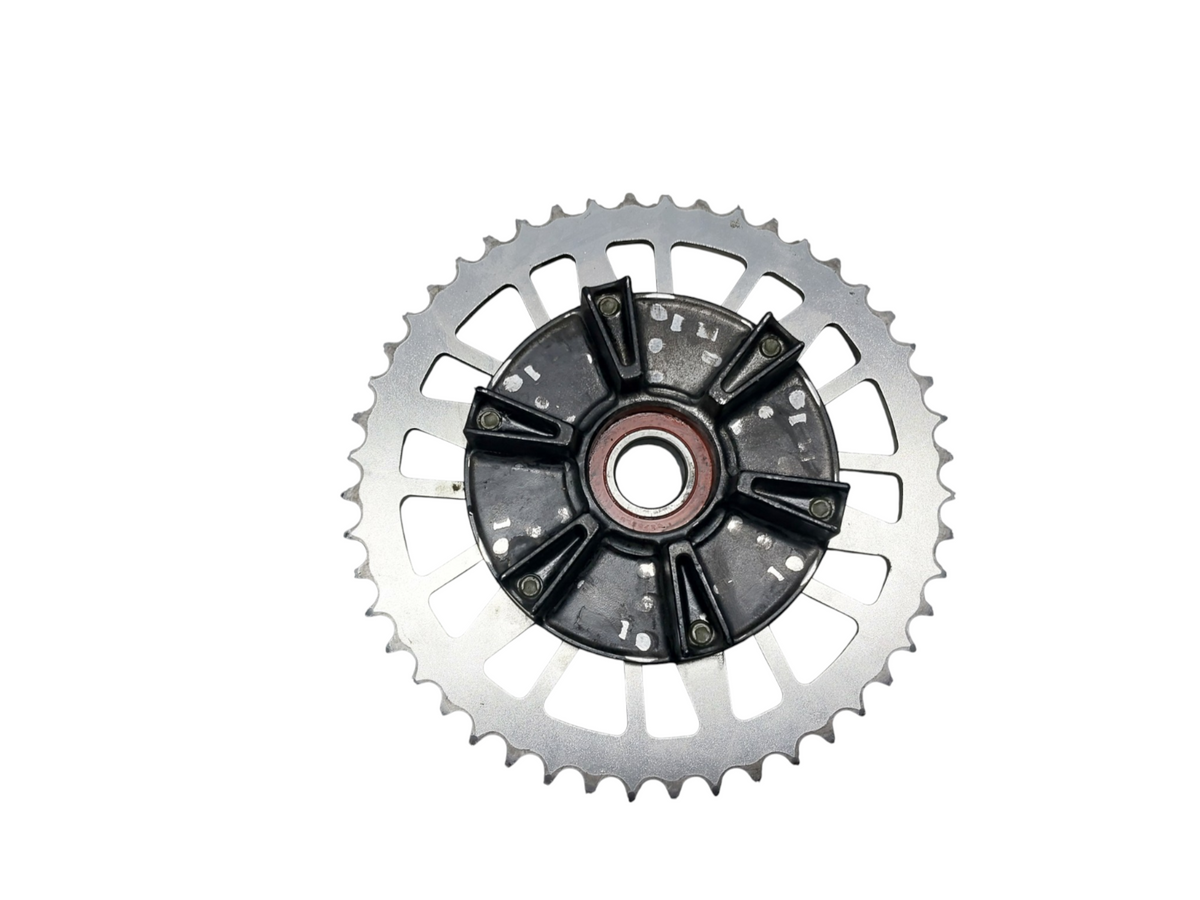 Image #19