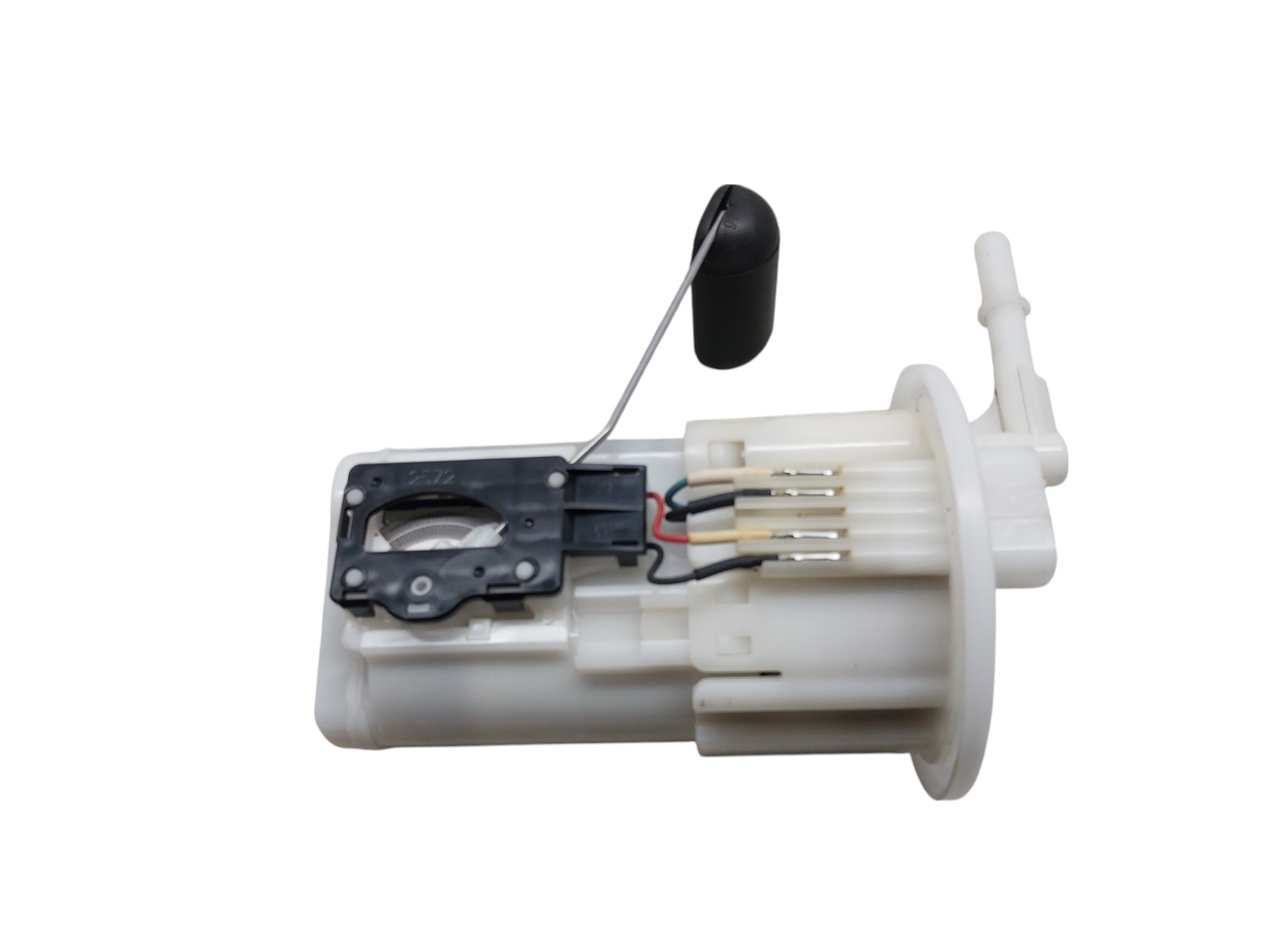 Image #7