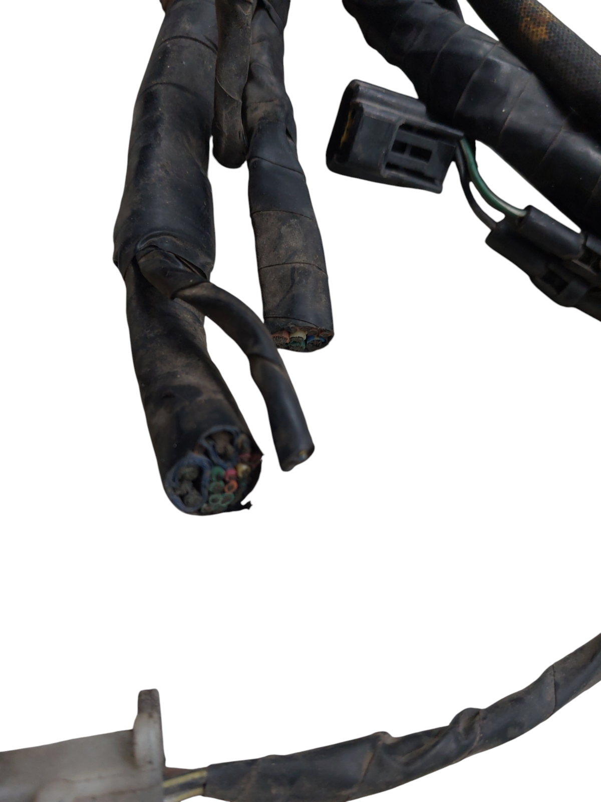 Image #12
