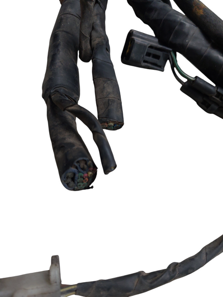 Image #12