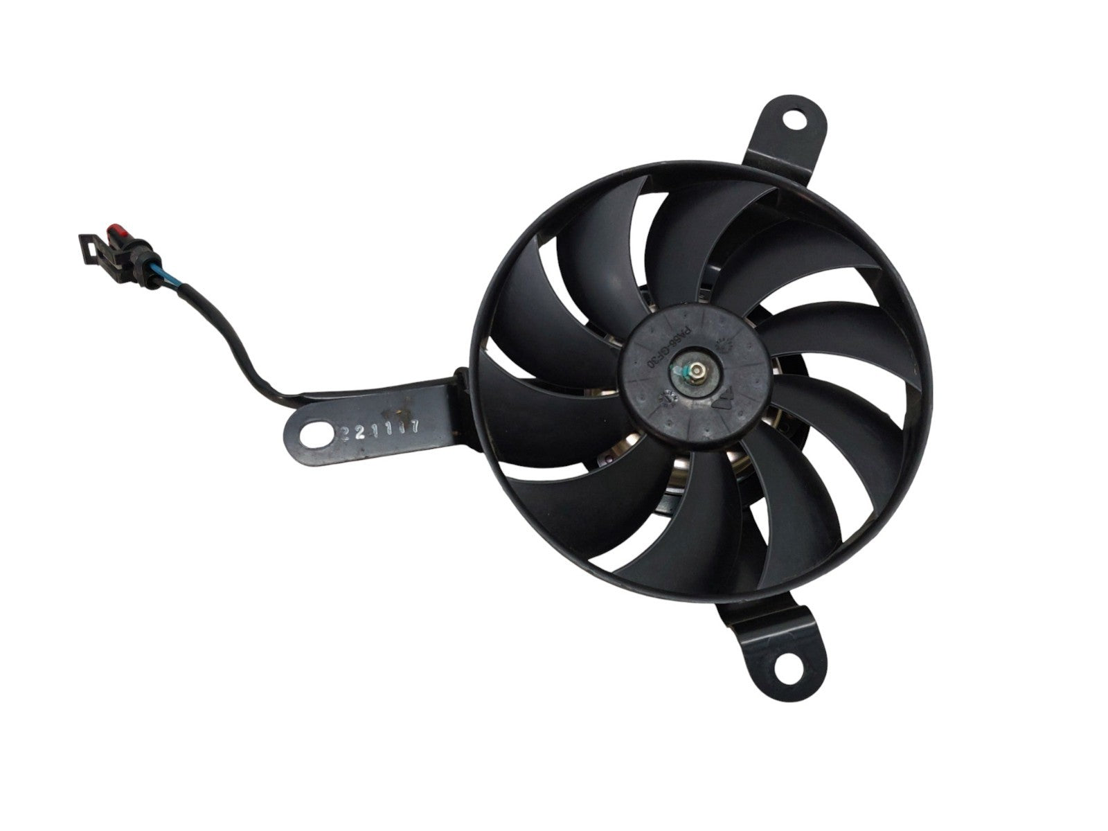 Image #15
