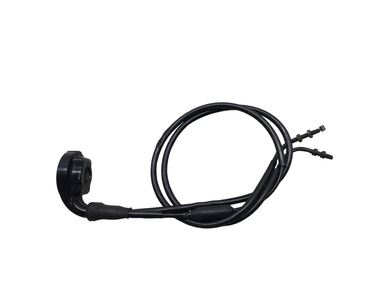 Image #21