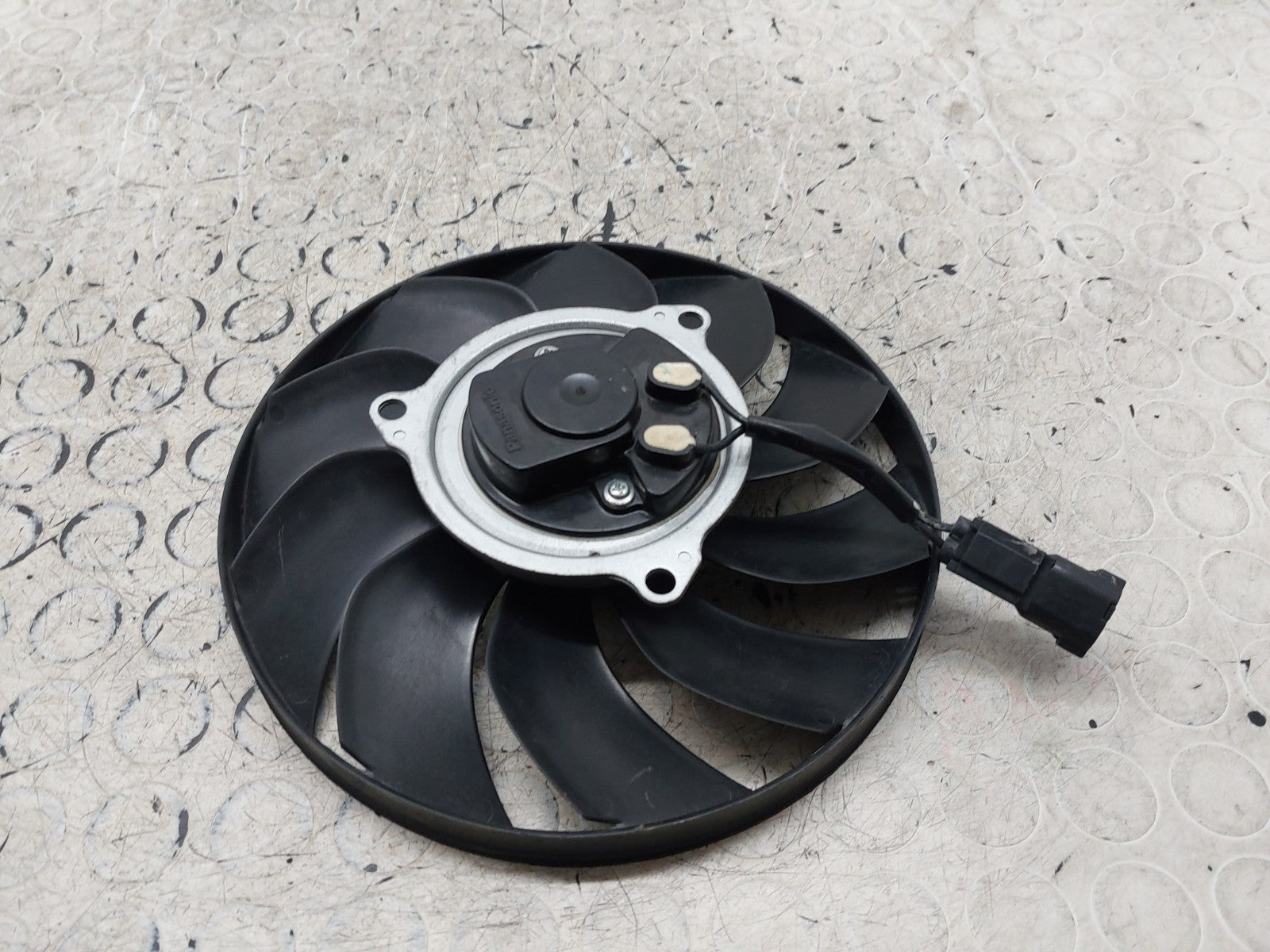 Image #7