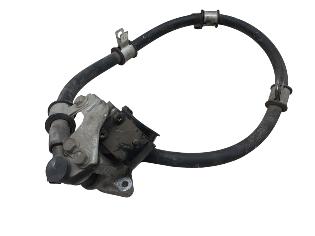 Image #12