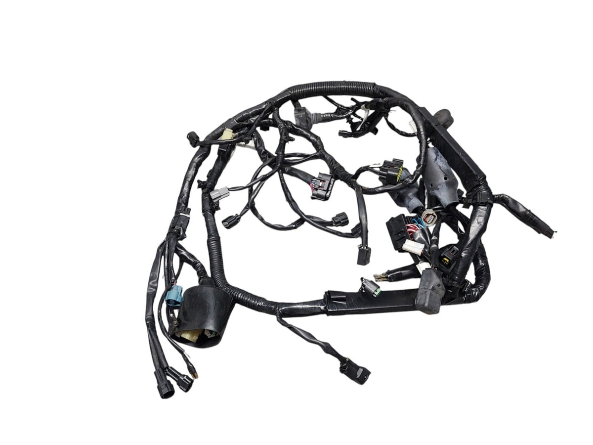 Image #17