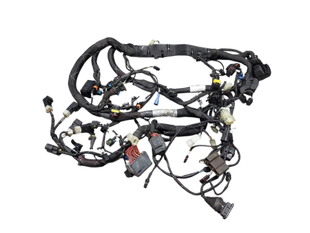 Image #23