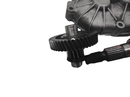 Image #14