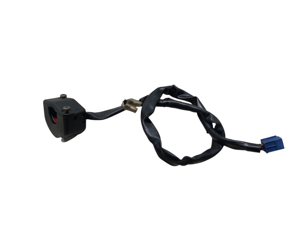 Image #24