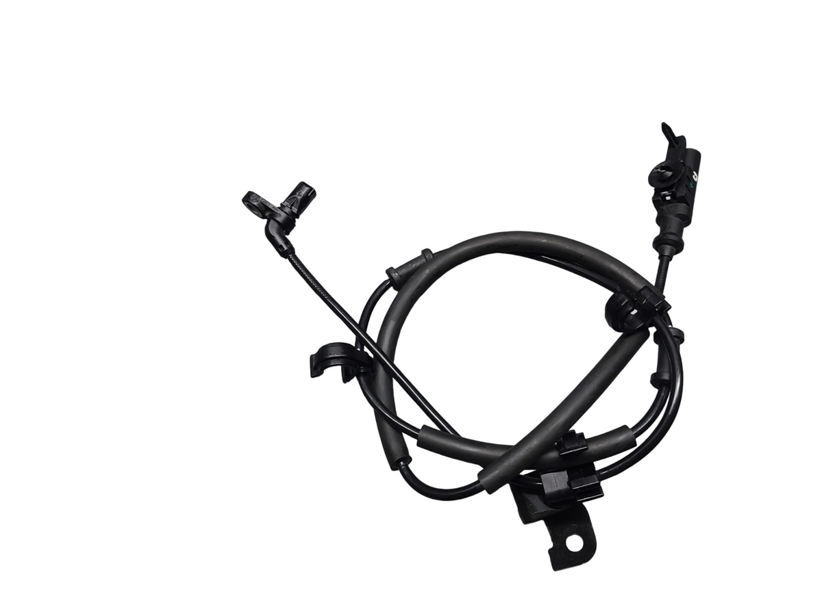 Image #17