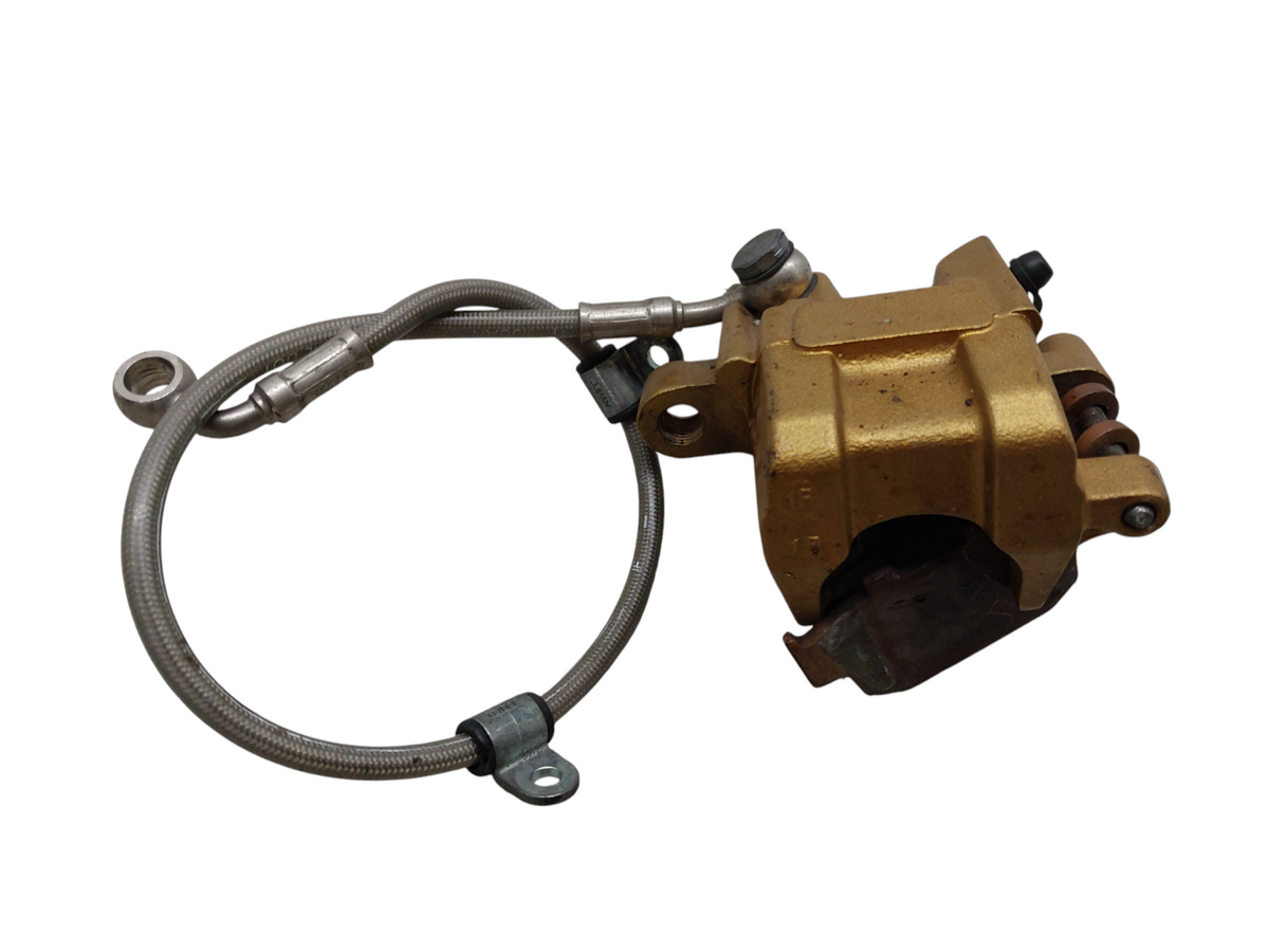 Image #10