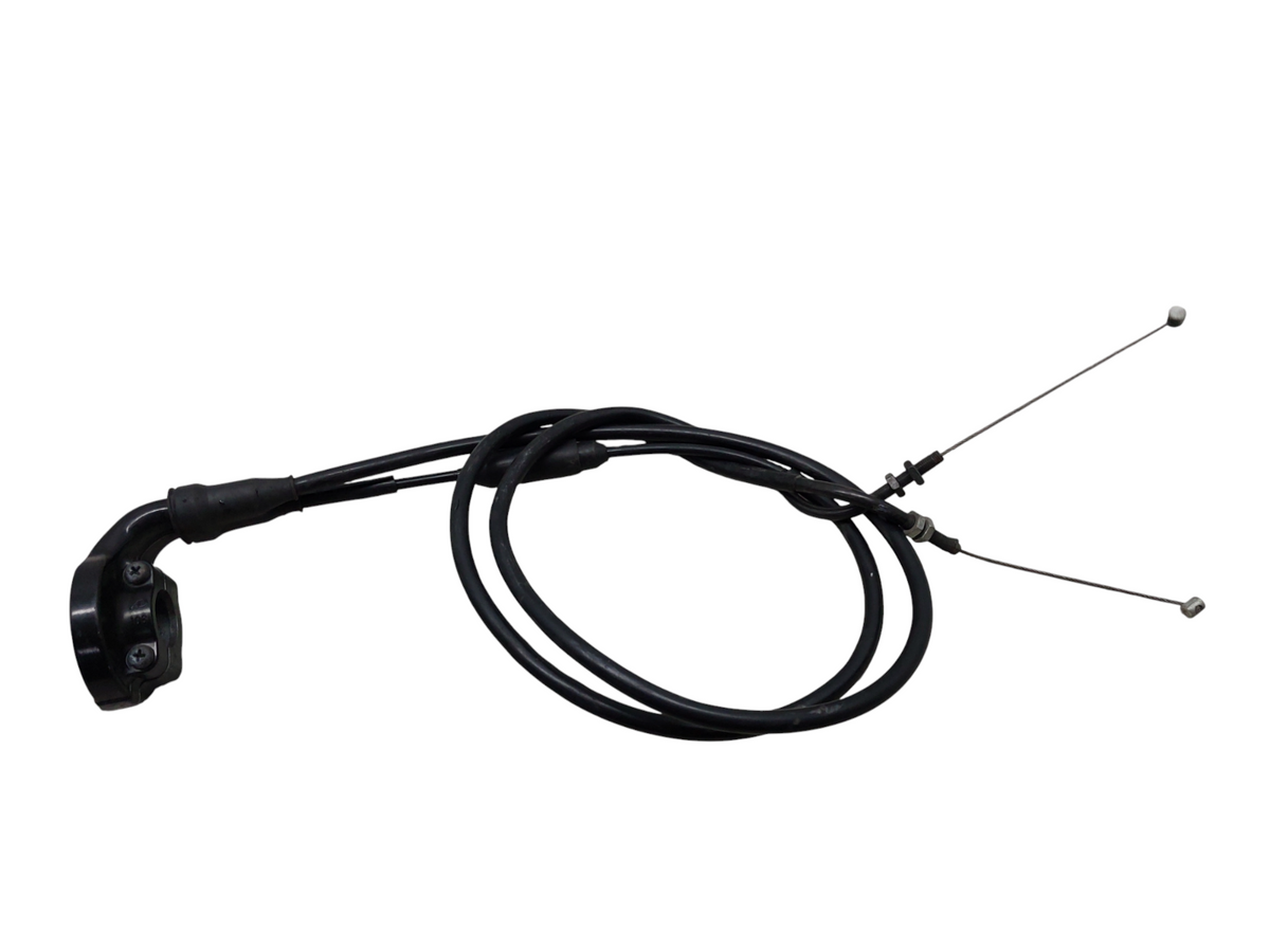 Image #15