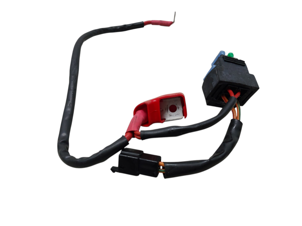 Image #12