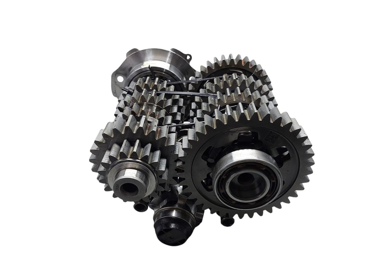 Image #15