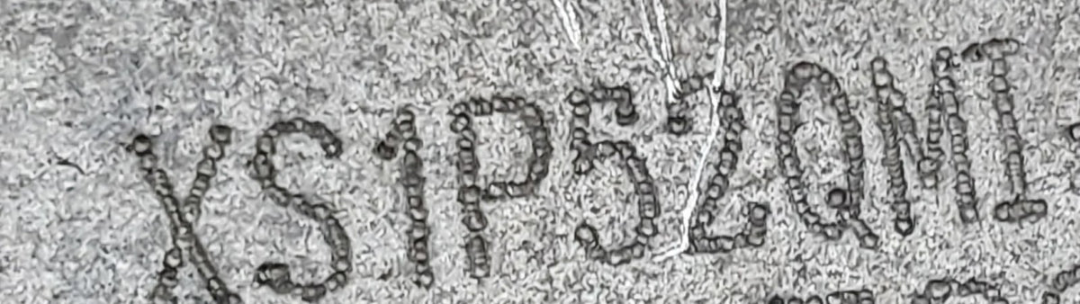 Image #20