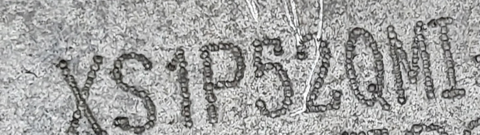 Image #20