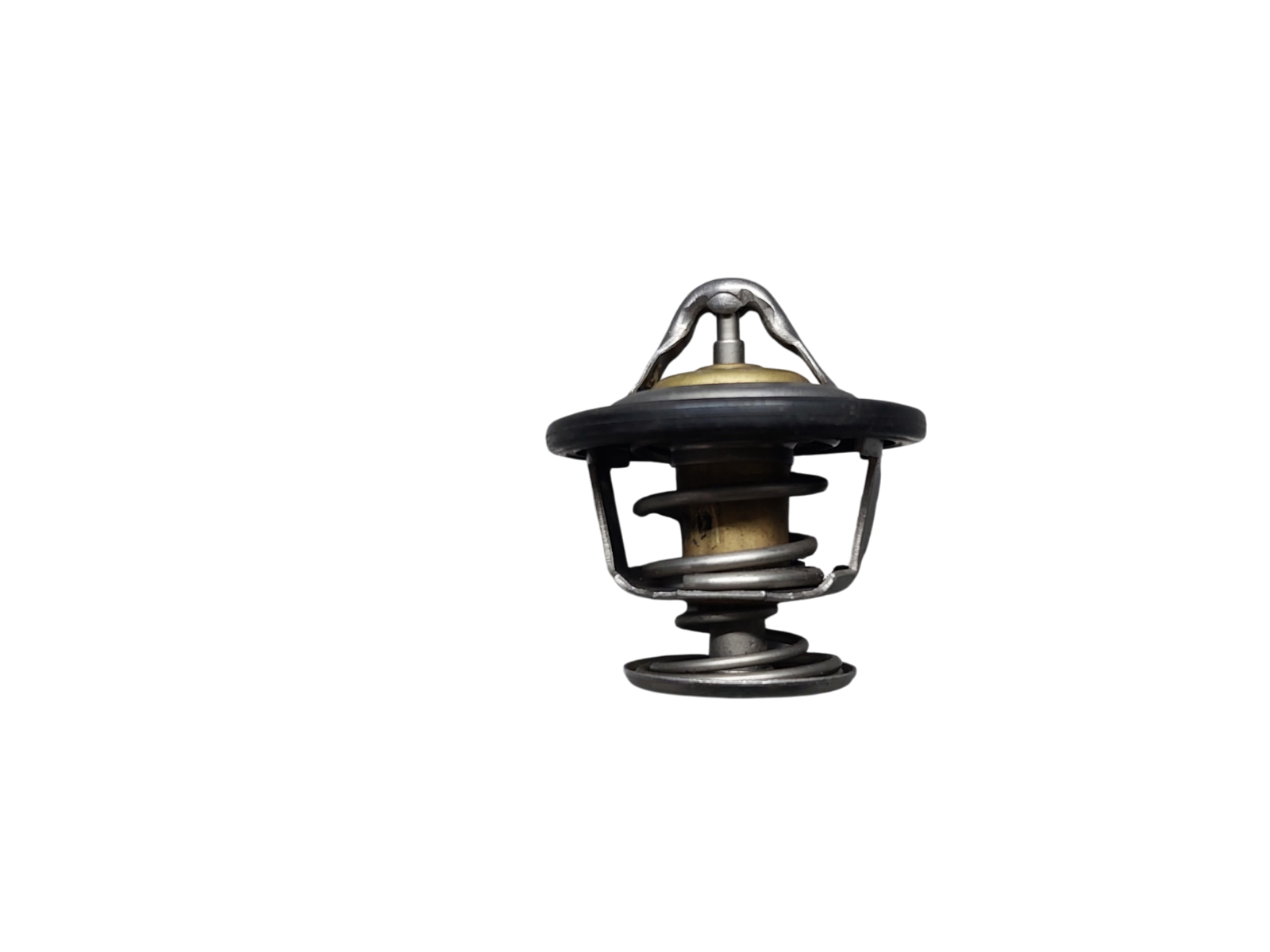 Image #17