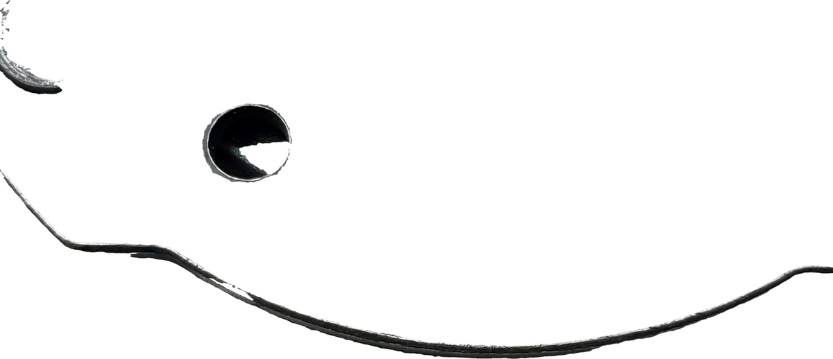 Image #9