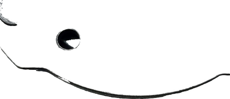 Image #9