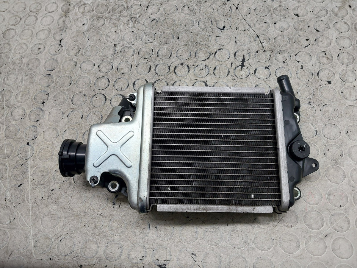 Image #11