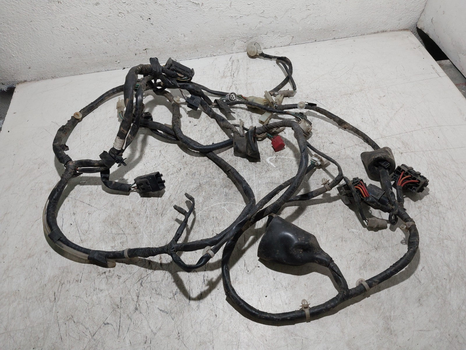 Image #10