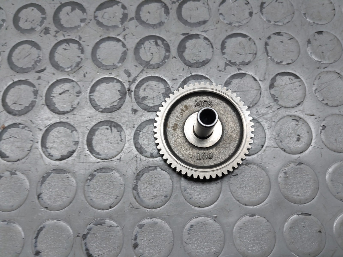 Image #19