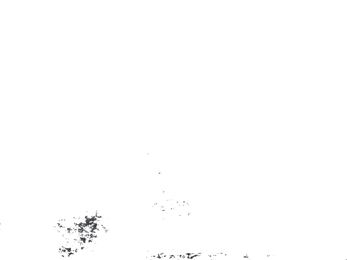 Image #13