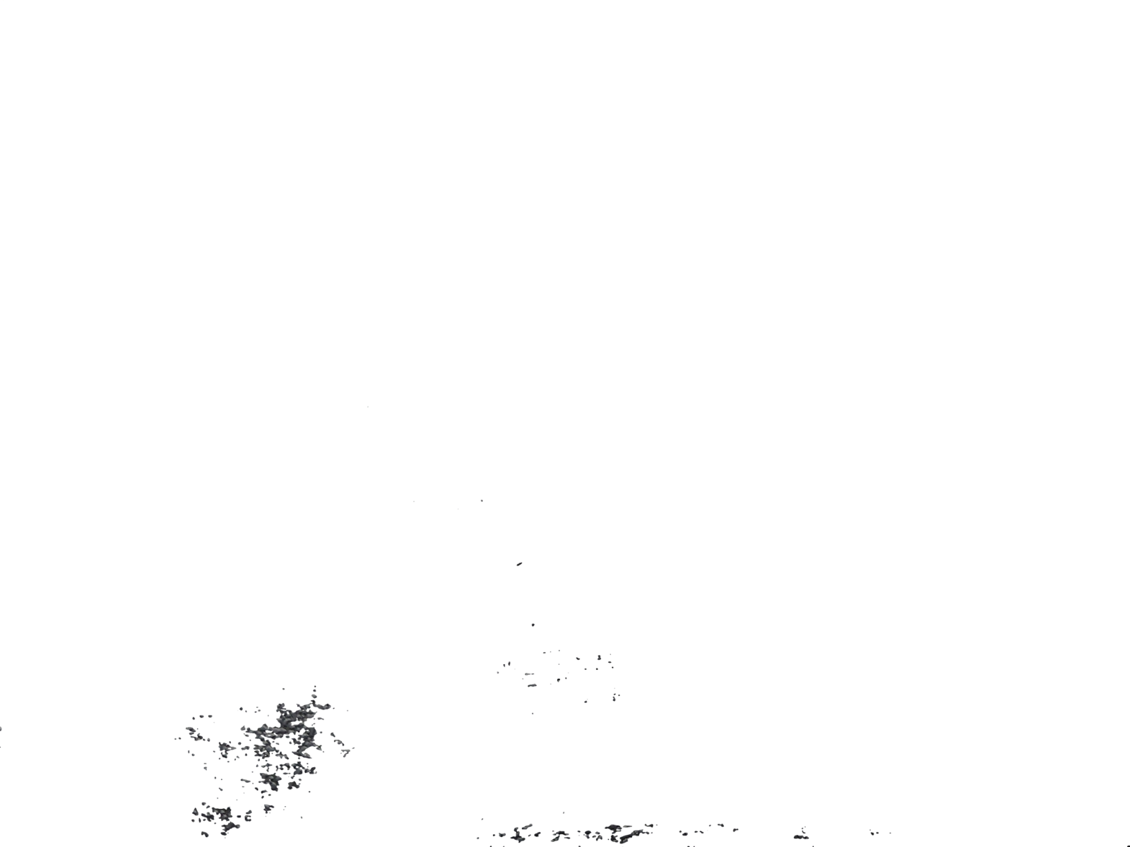 Image #13