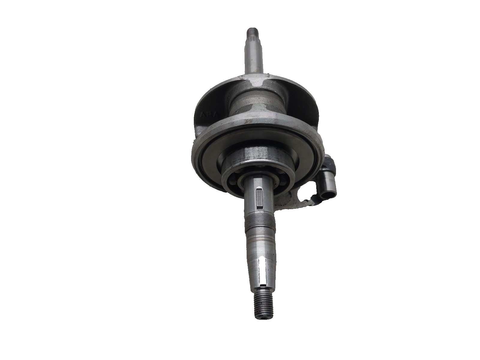 Image #5