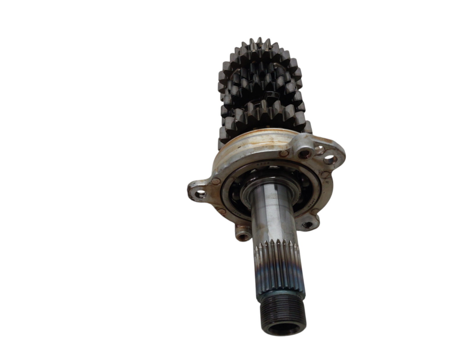 Image #23