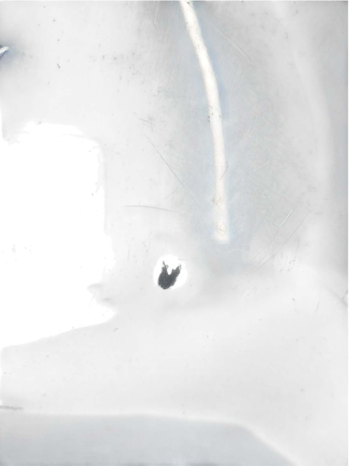 Image #10