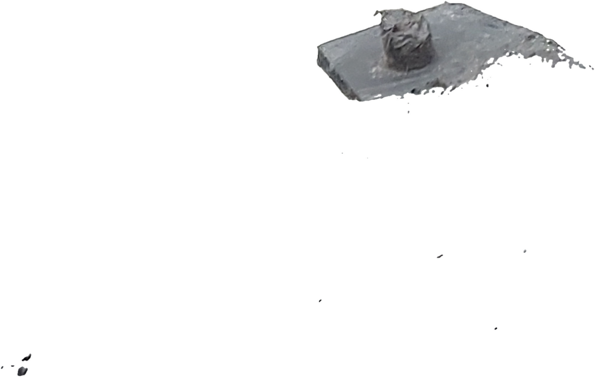 Image #11