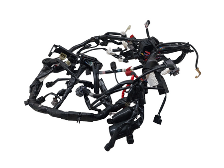 Image #12