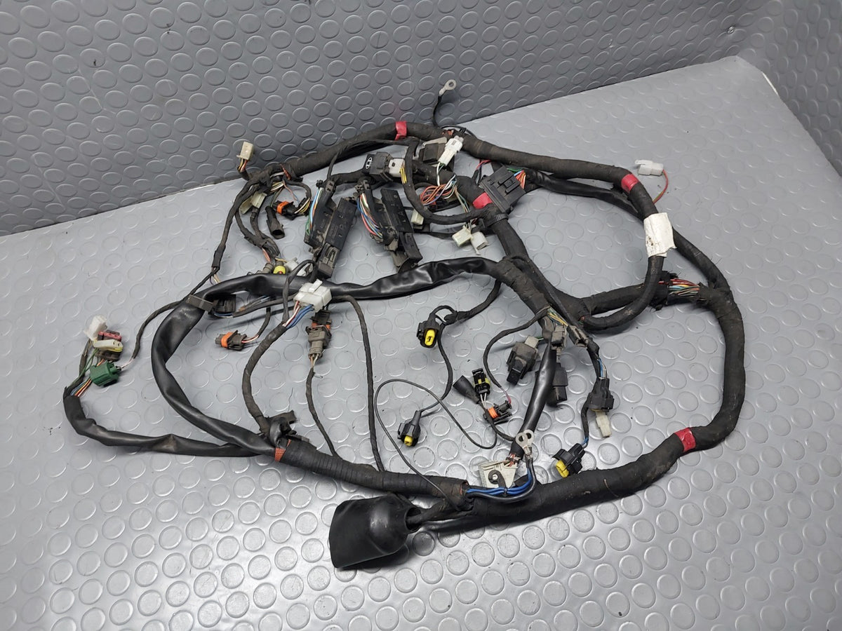 Image #19
