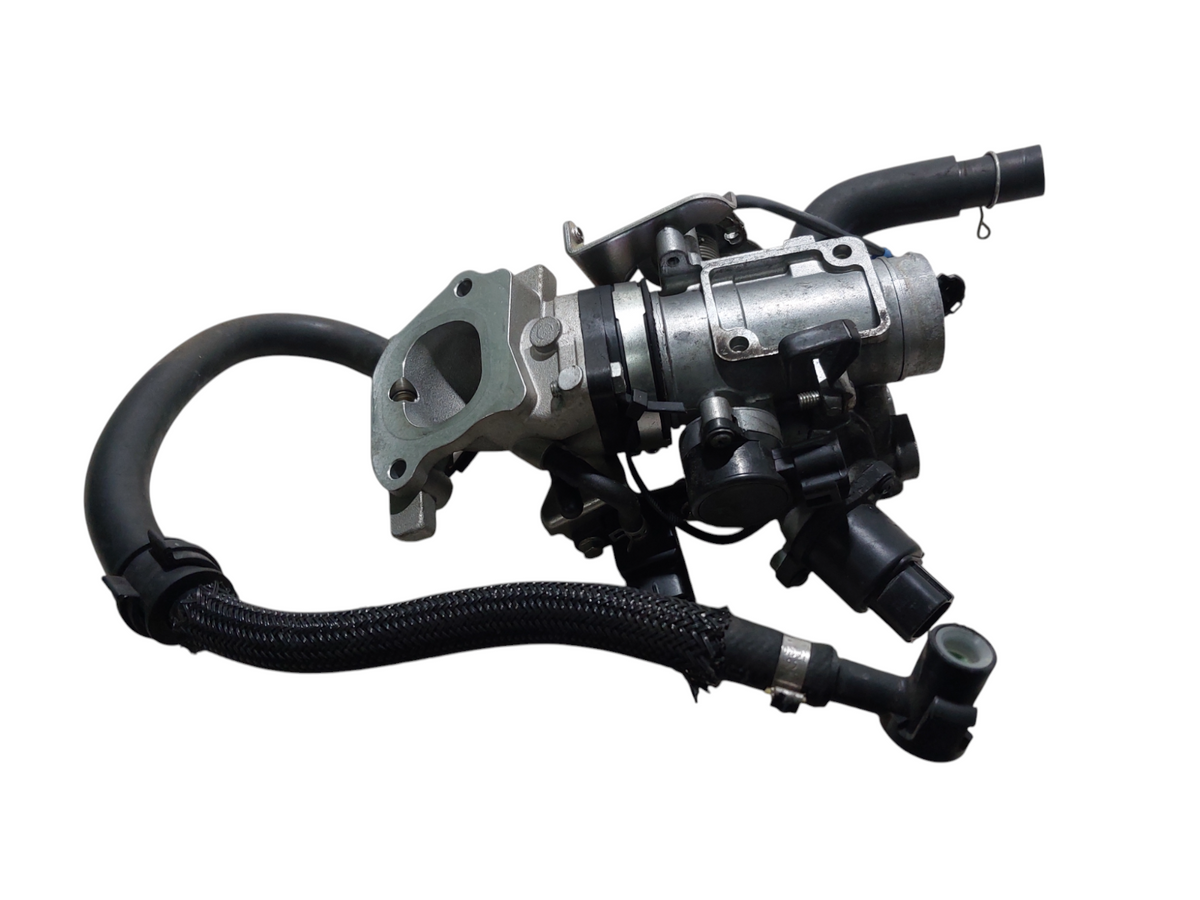 Image #19