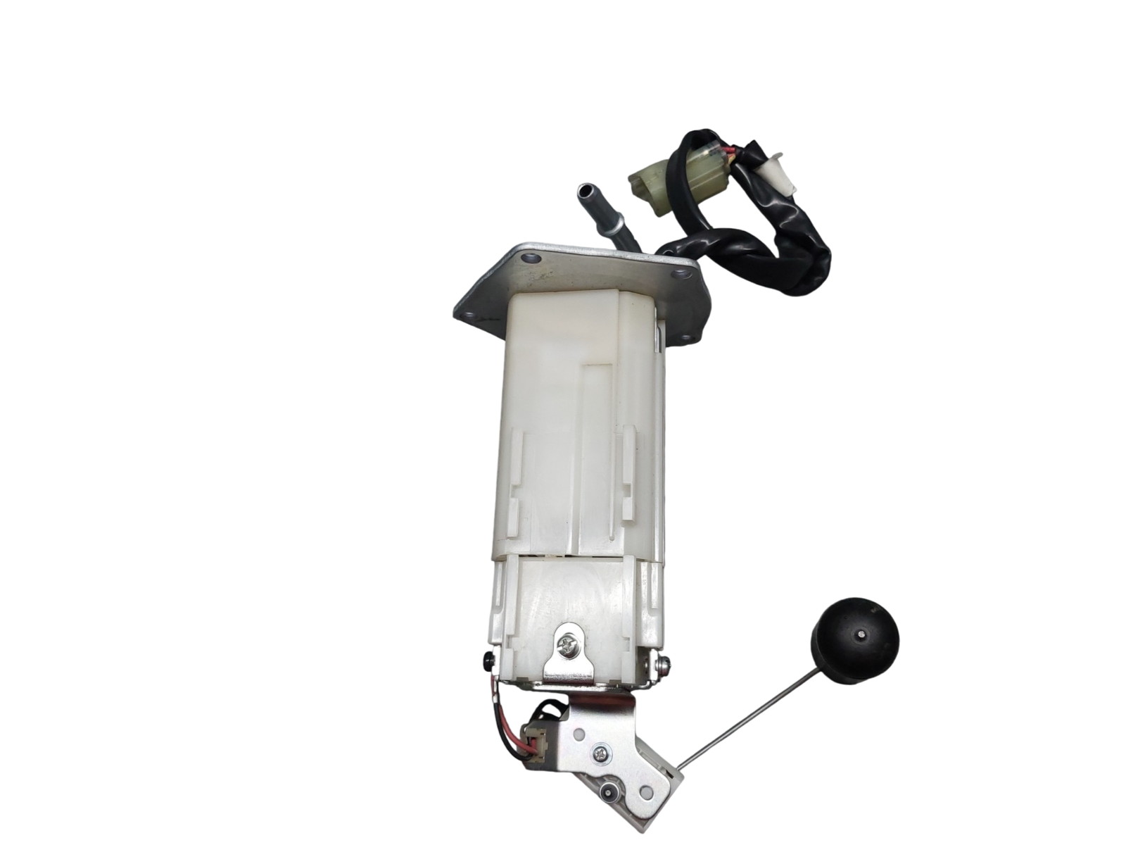 Image #5