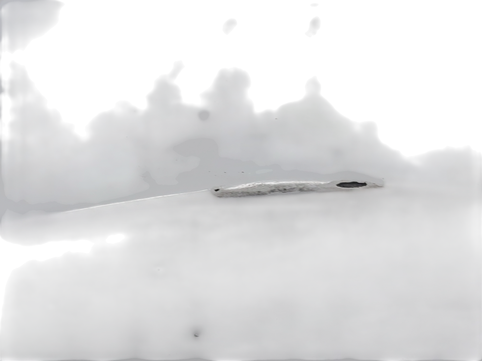Image #23