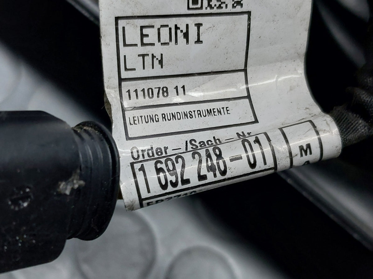 Image #19